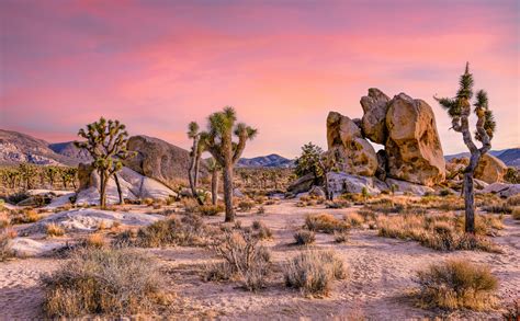 cheapest apartments in the southern california desert areas